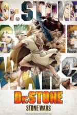 Dr. Stone Cover, Dr. Stone Stream