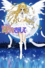Cover Full Moon, Poster Full Moon