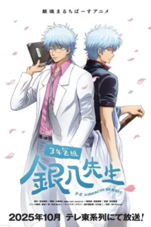 GINTAMA - Mr.Ginpachi's Zany Class, Cover, HD, Anime Stream, ganze Folge