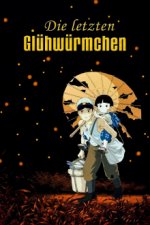 Staffel 1 Cover, Poster