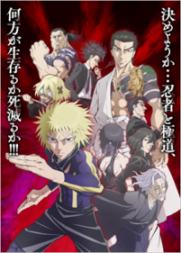 Ninja Vs. Gokudo Cover, Poster, Ninja Vs. Gokudo DVD