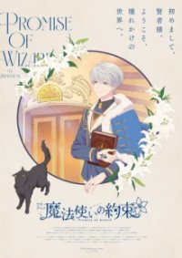 Cover Promise of Wizard, Promise of Wizard