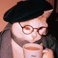 Profilbild domi_st09, Avatar