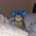 Profilbild Nathann, Avatar