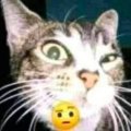 Profilbild kenjiendo, Avatar